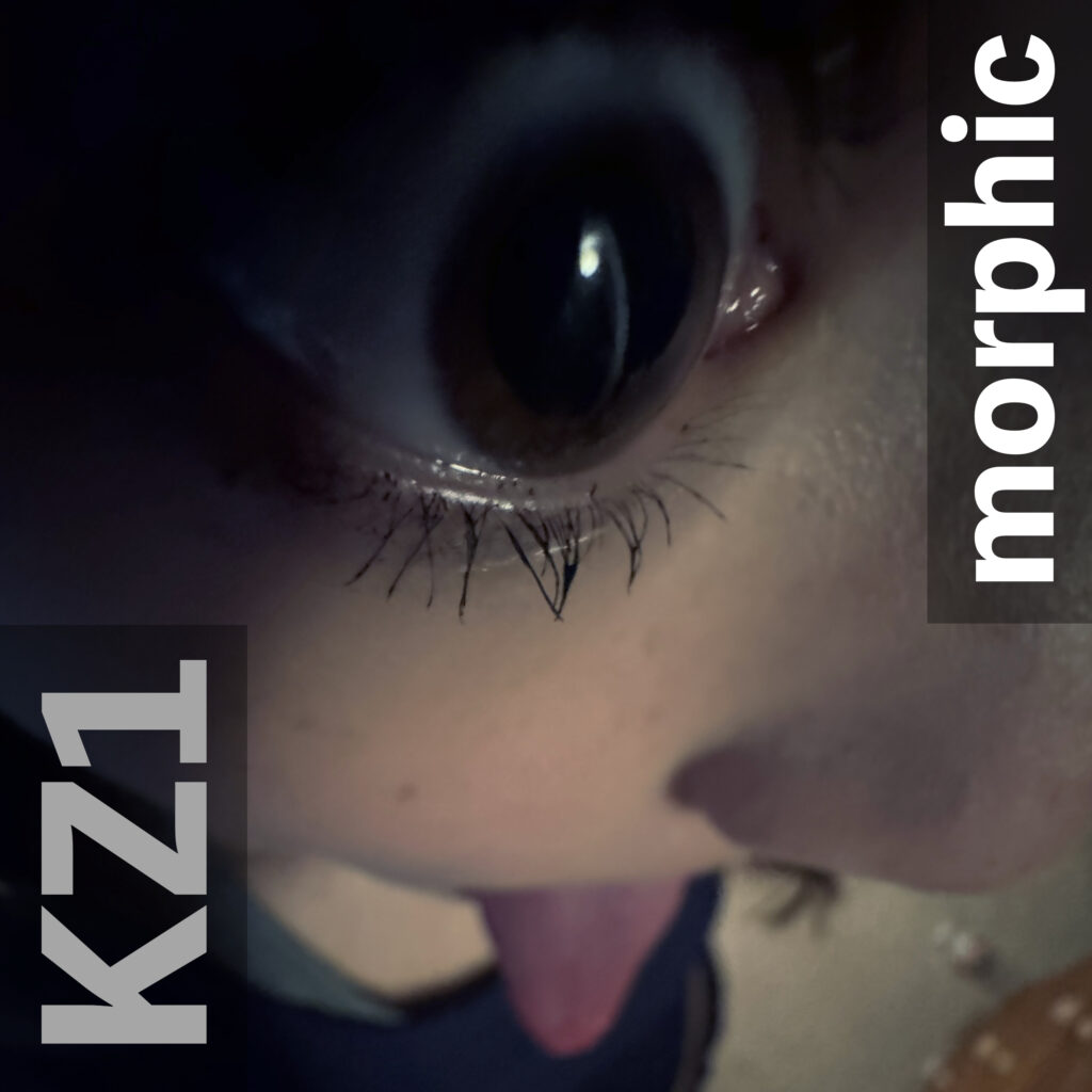 KZ1 Morphic album cover